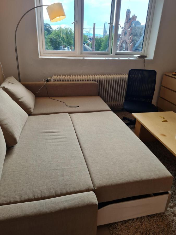 Private Room In To Roomsapartment 奥斯陆 外观 照片